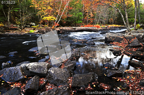 Image of Fall forest and river landscape