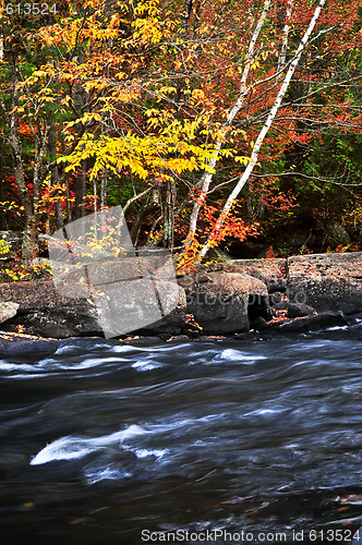 Image of Fall forest and river landscape