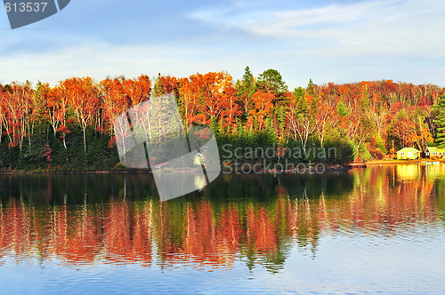 Image of Fall forest reflections