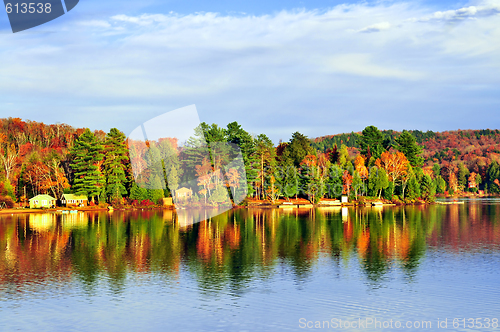 Image of Fall forest reflections