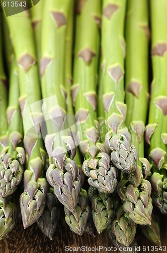 Image of Asparagus