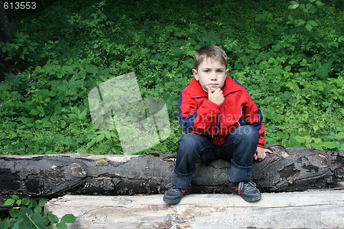 Image of boy over a tree trunk