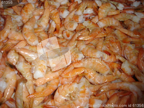 Image of Shrimps