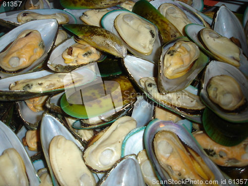 Image of Mussels