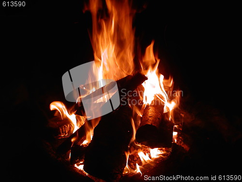 Image of campfire of wood