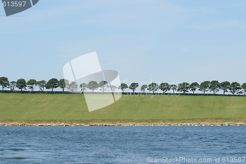 Image of line of trees, landscape