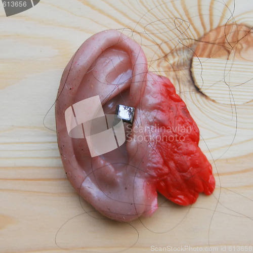 Image of Severed Ear