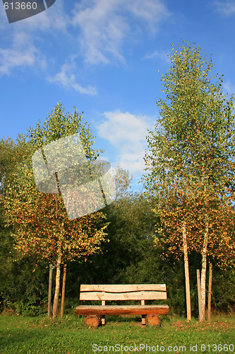 Image of Bench