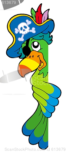 Image of Lurking pirate parrot