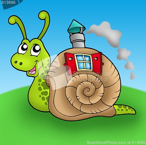 Image of Snail with shell house on meadow