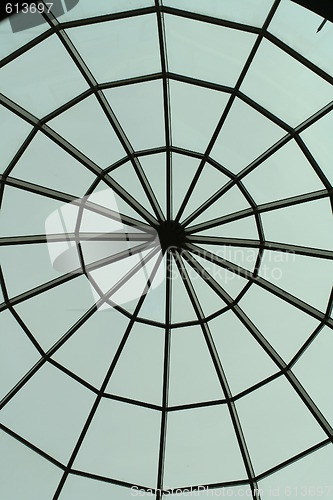 Image of spider roof