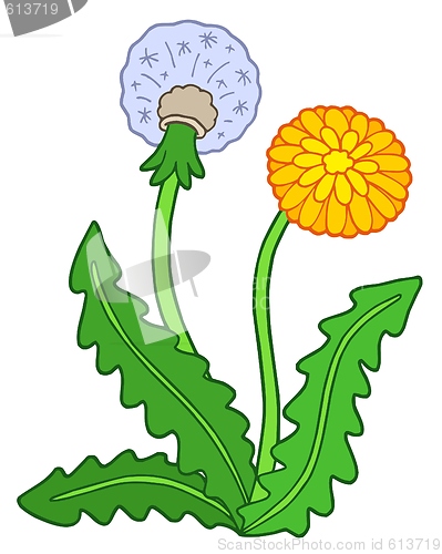 Image of Dandelion