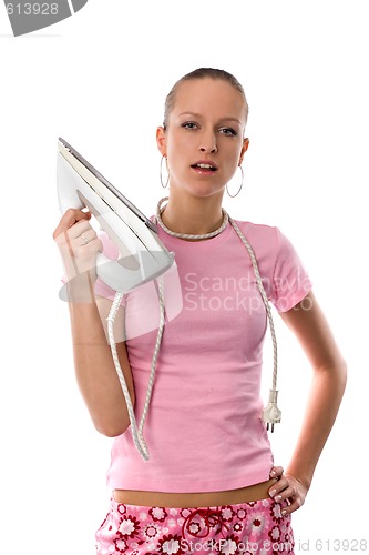 Image of modern housewife