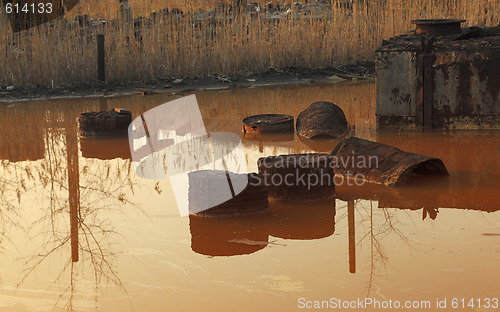 Image of The pond of death