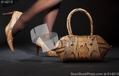 Image of snakeskin shoes and handbag