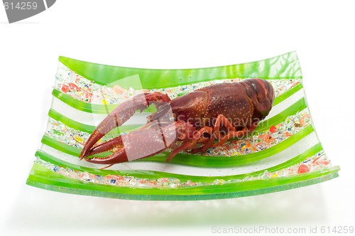 Image of Crawfish/lobster