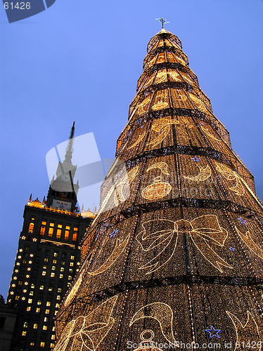 Image of Christmas tree