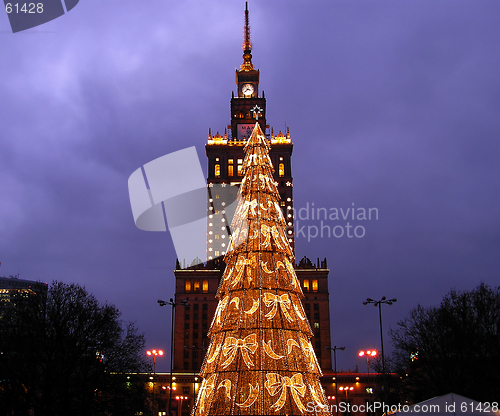Image of Christmas tree