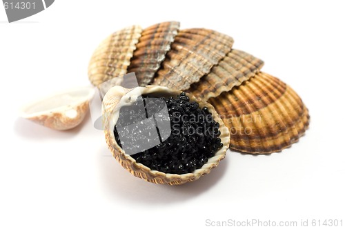 Image of Caviar