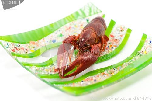 Image of Crawfish/lobster