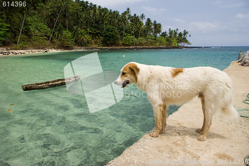 Image of Equator Beach