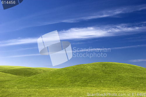 Image of Green Meadow