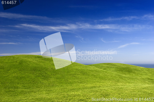 Image of Green Meadow