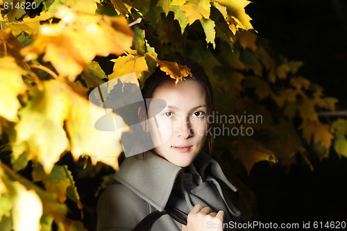 Image of Under yellow leaves
