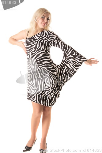 Image of Zebra style