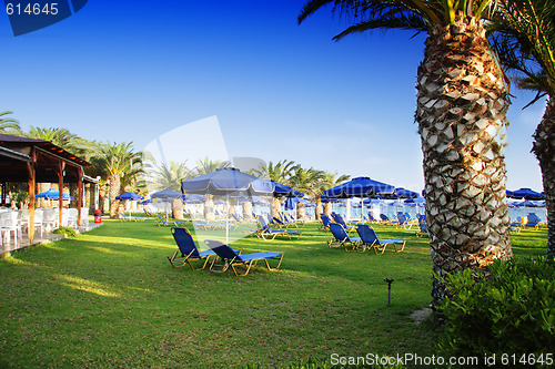 Image of Deserted grassy beach