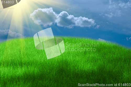 Image of Sunny day