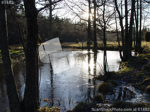 Image of Autumn water