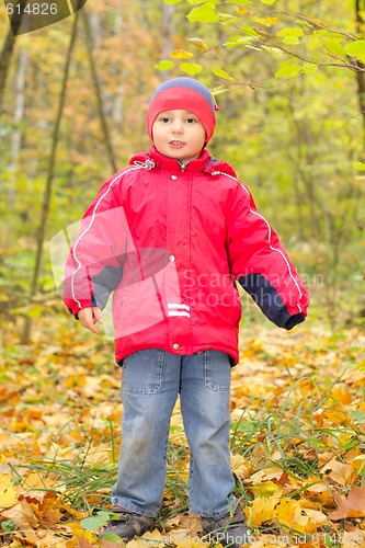 Image of Boy in autumn forest