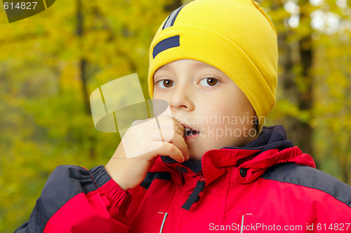 Image of Portrait of boy in autumn