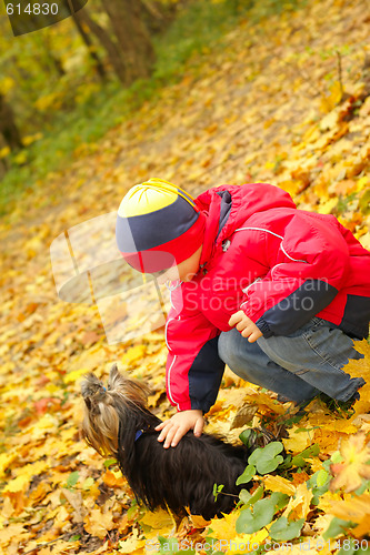 Image of Stroking dog