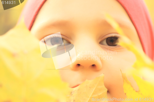 Image of Little boy with leaves