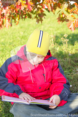 Image of Reading under leaves