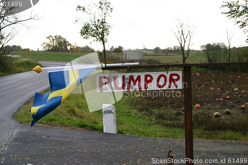 Image of sale  of  pumpor