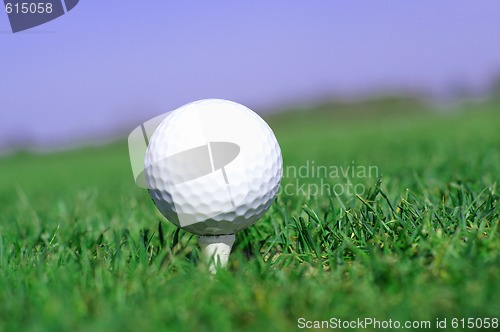 Image of Golf ball in tall green grass