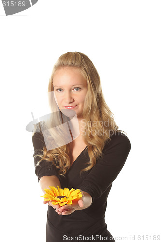 Image of Girl with sunflower