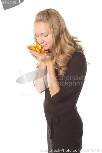 Image of Sunflower in hand