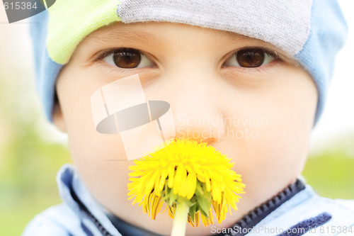 Image of Boy with yellow dandelion