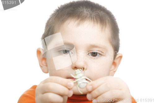 Image of Boy with beetle