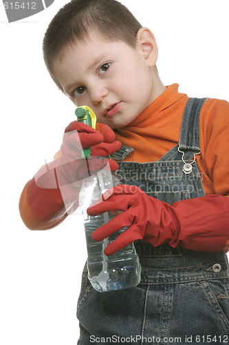 Image of Funny cleaner with spray