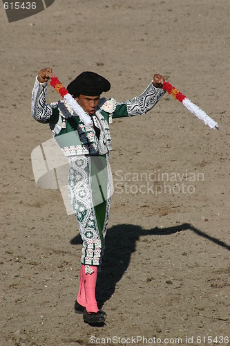 Image of Bullfighter