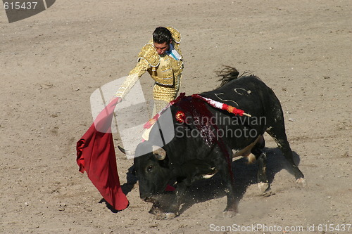 Image of Bullfighter