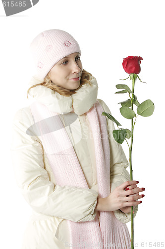 Image of Looking at rose