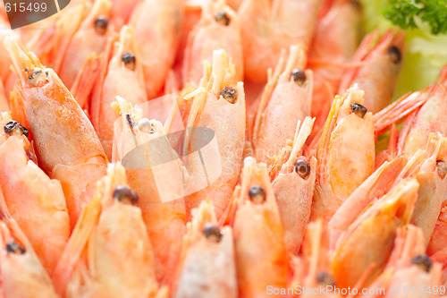 Image of Shrimps