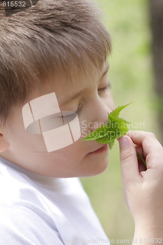 Image of Boy and leaves