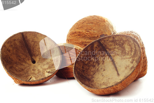 Image of Coconuts dried up
